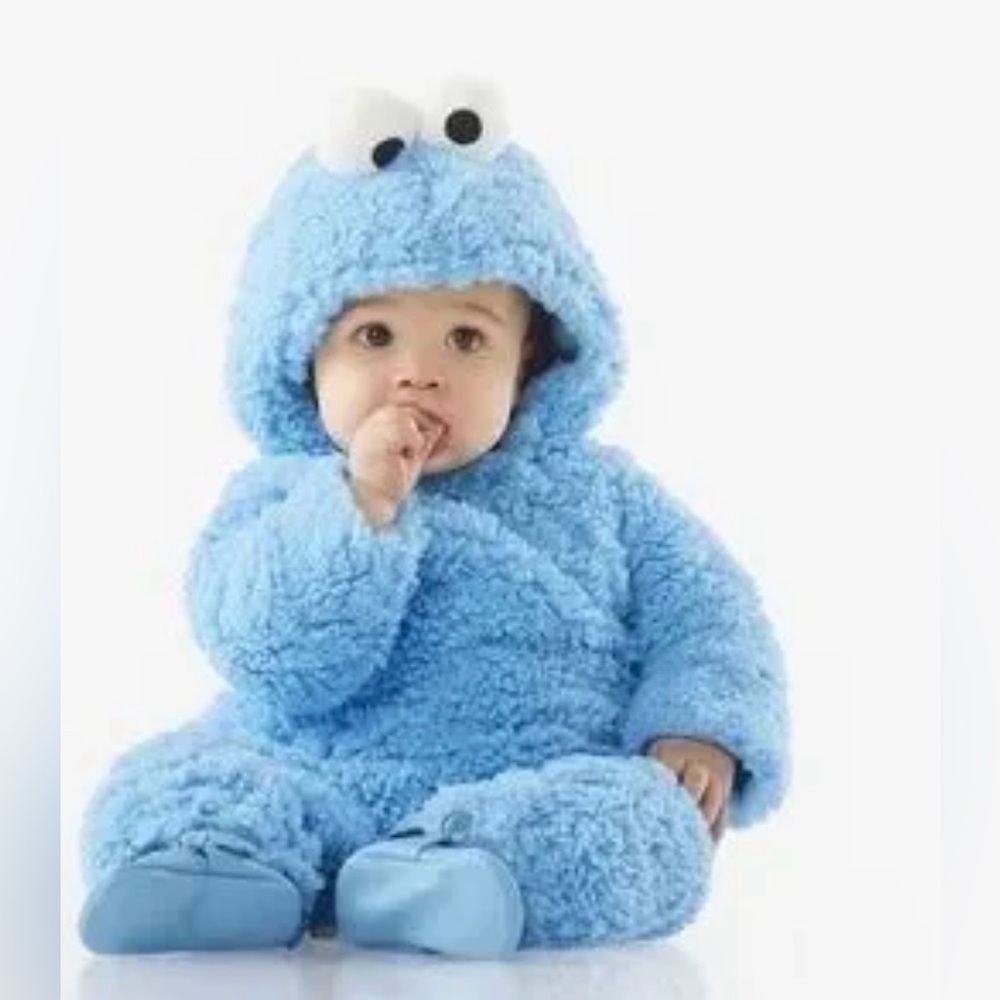 Pottery barn Cookie Monster costume